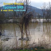Poplava u Trsteniku uništila rano povrće, ostavila pustoš na njivama, baštama, kućama i u dvorištima. Brze reakcije na otklanjanju štete i ojačanje bedema. Trstenik, 9. mart 2016. god.